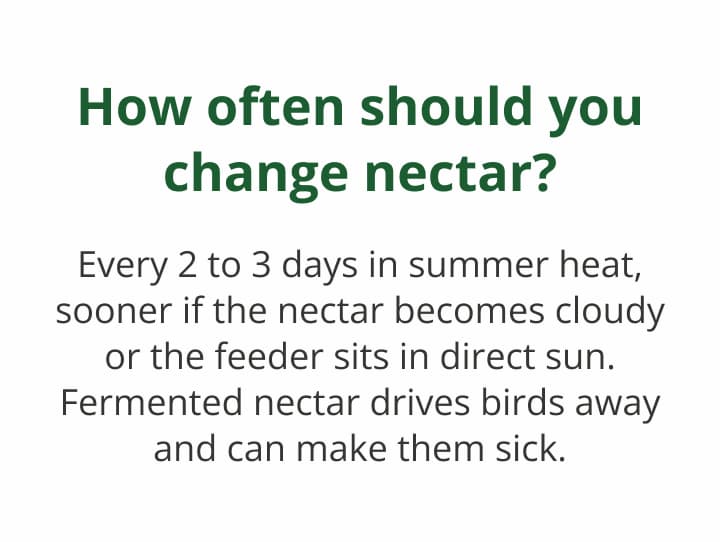 How often should you change nectar?