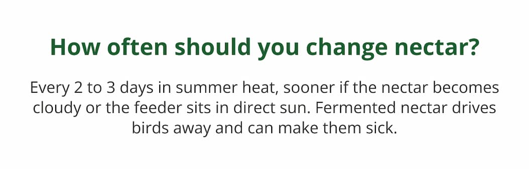 How often should you change nectar?