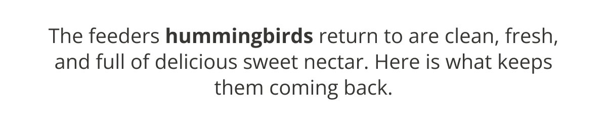The feeders hummingbirds return to are clean