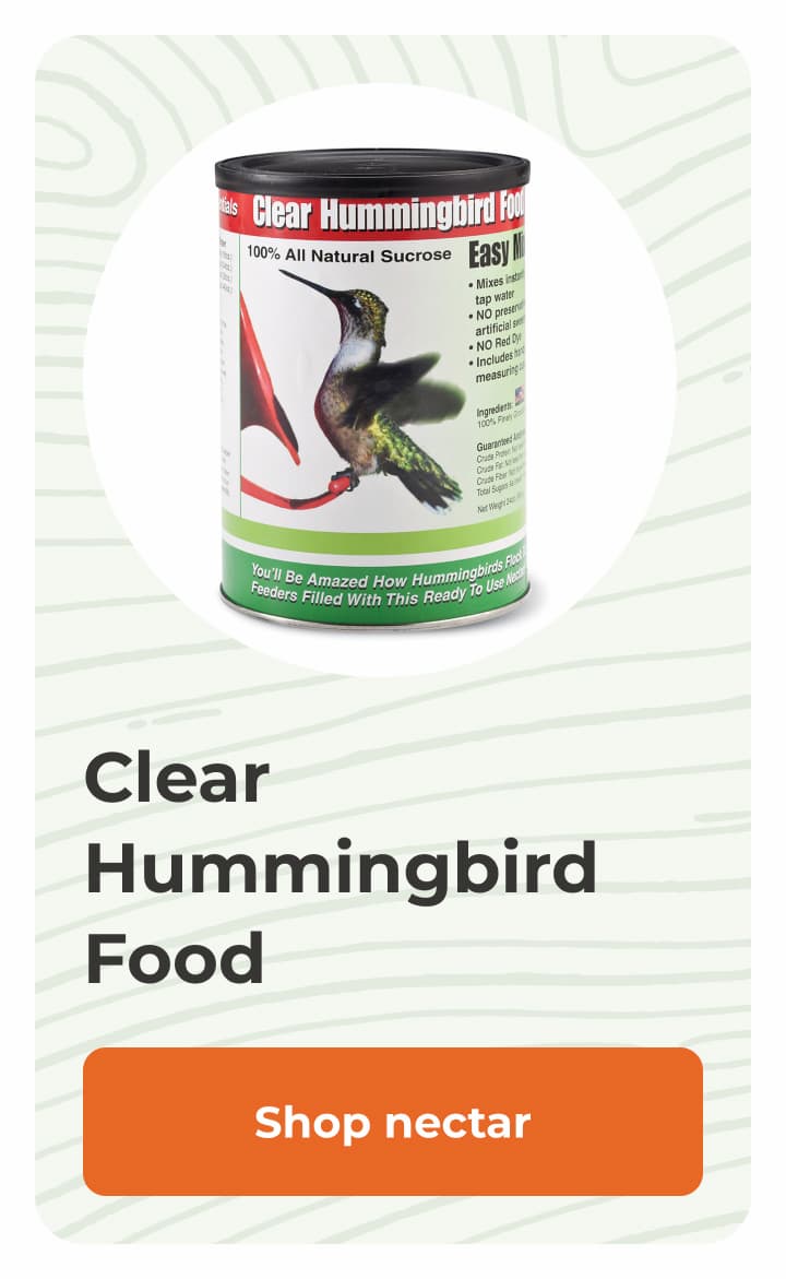 Clear Hummingbird Food