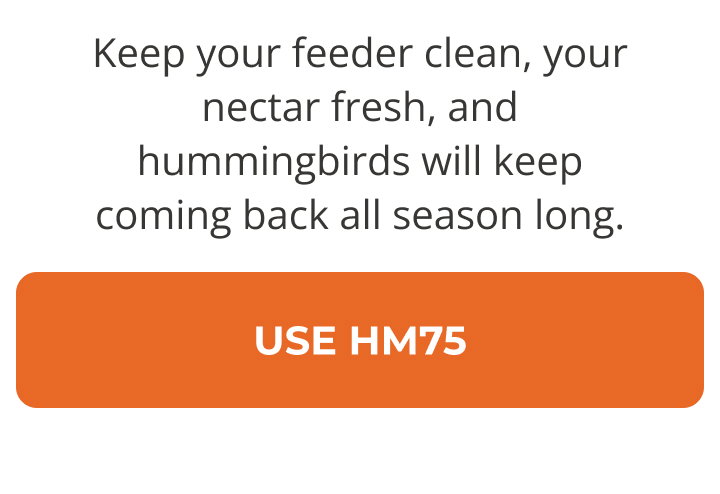 Your yard is already working. Keep it that way.