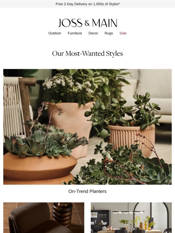 On-trend planters you *have to* see →