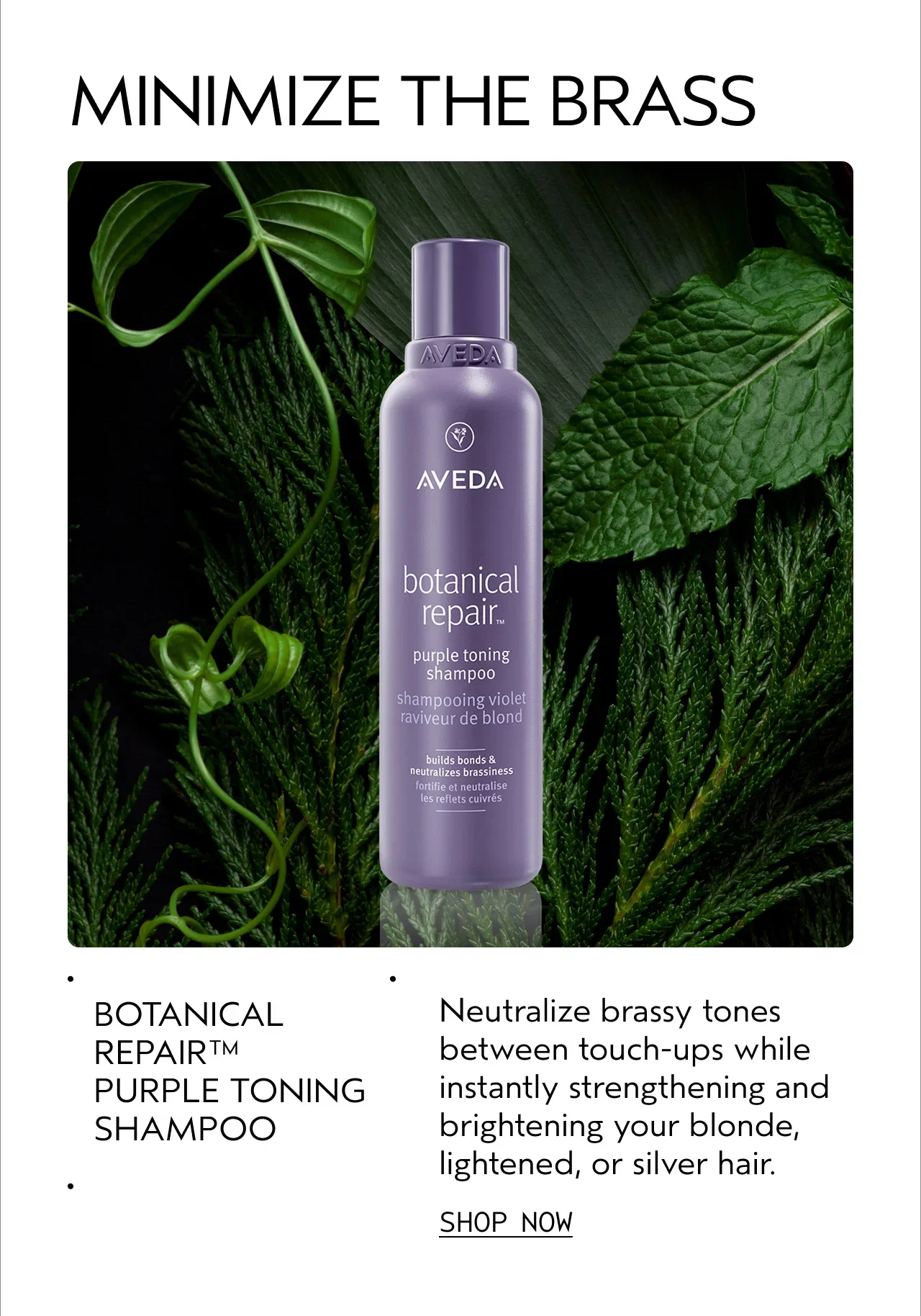 MINIMIZE THE BRASS | BOTANICAL REPAIRᵀᴹ PURPLE TONING SHAMPOO | Neutralize brassy tones between touch-ups while instantly strengthening and brightening your blonde, lightened, or silver hair. | SHOP NOW