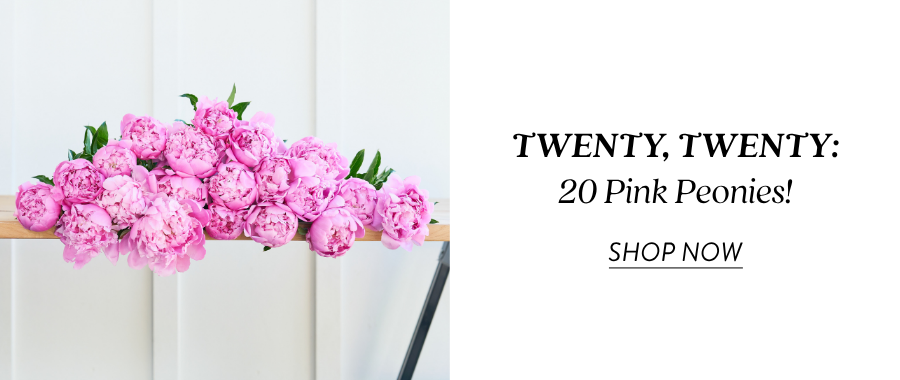 Product feature for “TWENTY, TWENTY: 20 Pink Peonies,” showing a full bunch of bright pink peonies arranged on a light surface, with a “Shop Now” link.