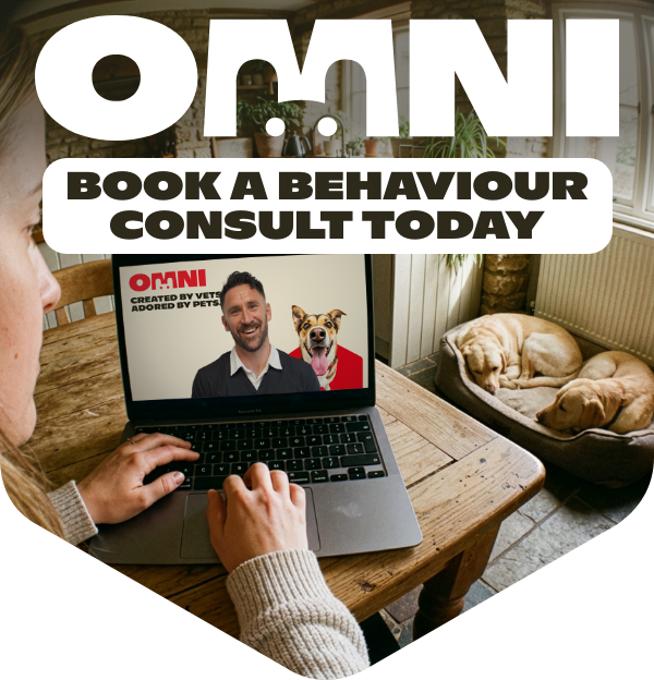 Book a behaviour consult today