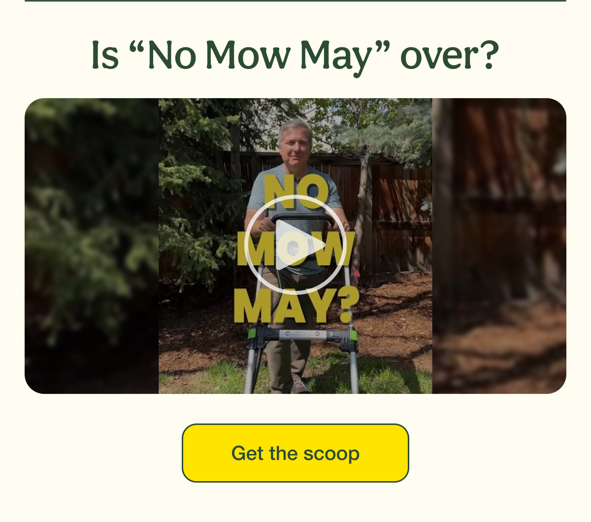 Is “No Mow May” over? | Get the scoop