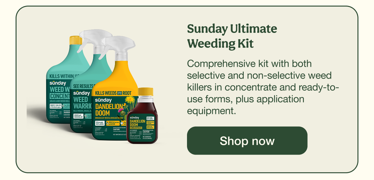 Sunday Ultimate Weeding Kit | Shop now