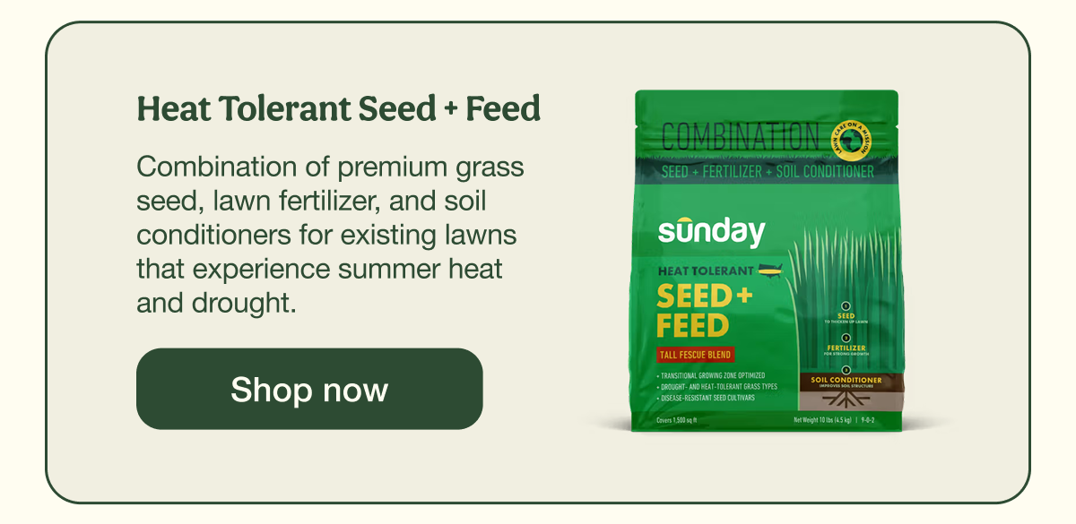 Heat Tolerant Seed + Feed | Shop now
