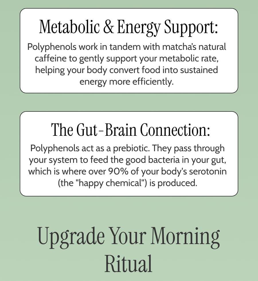 metabolic energy