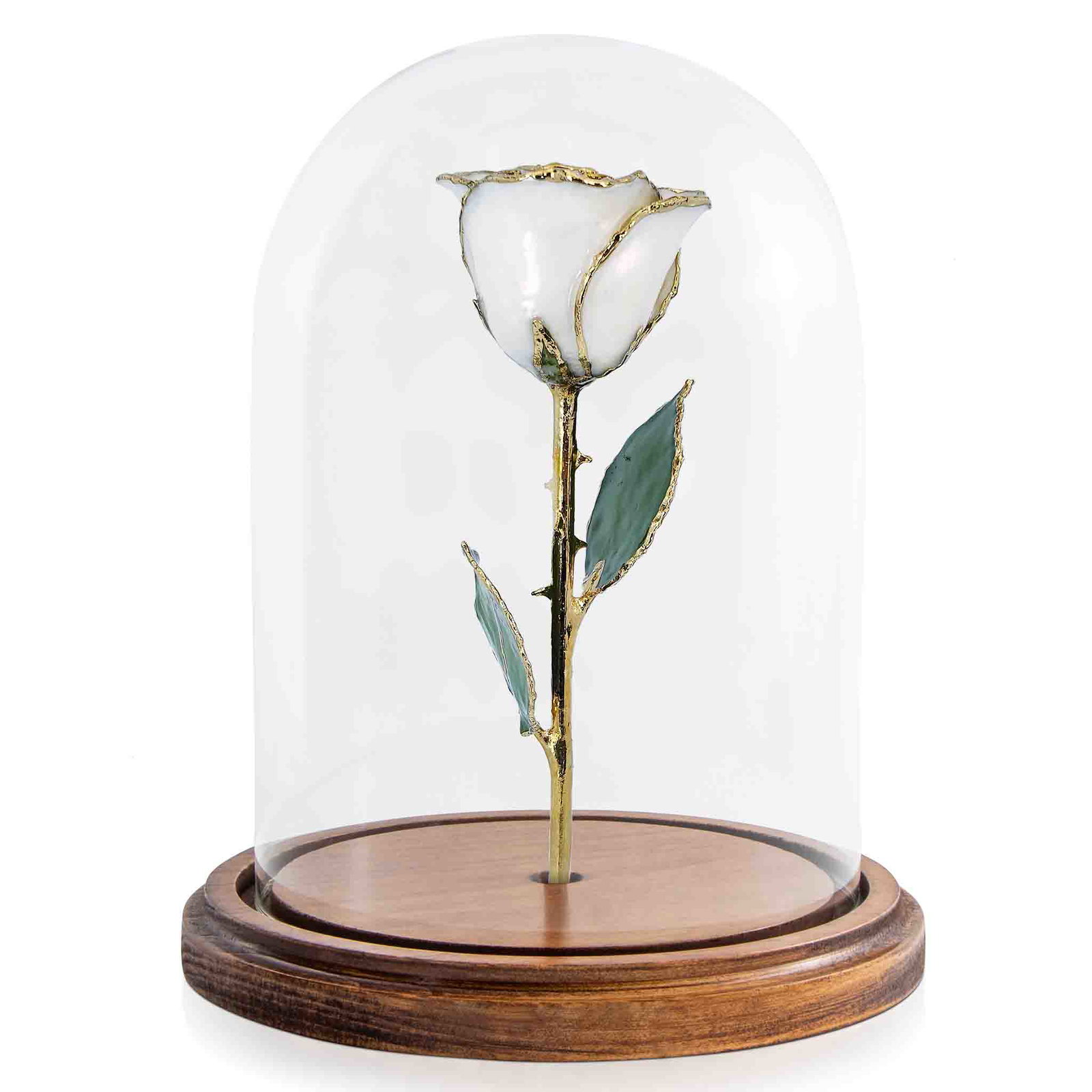 Image of Custom Enchanted Rose - 24K Gold White Pearl (June Birthstone)