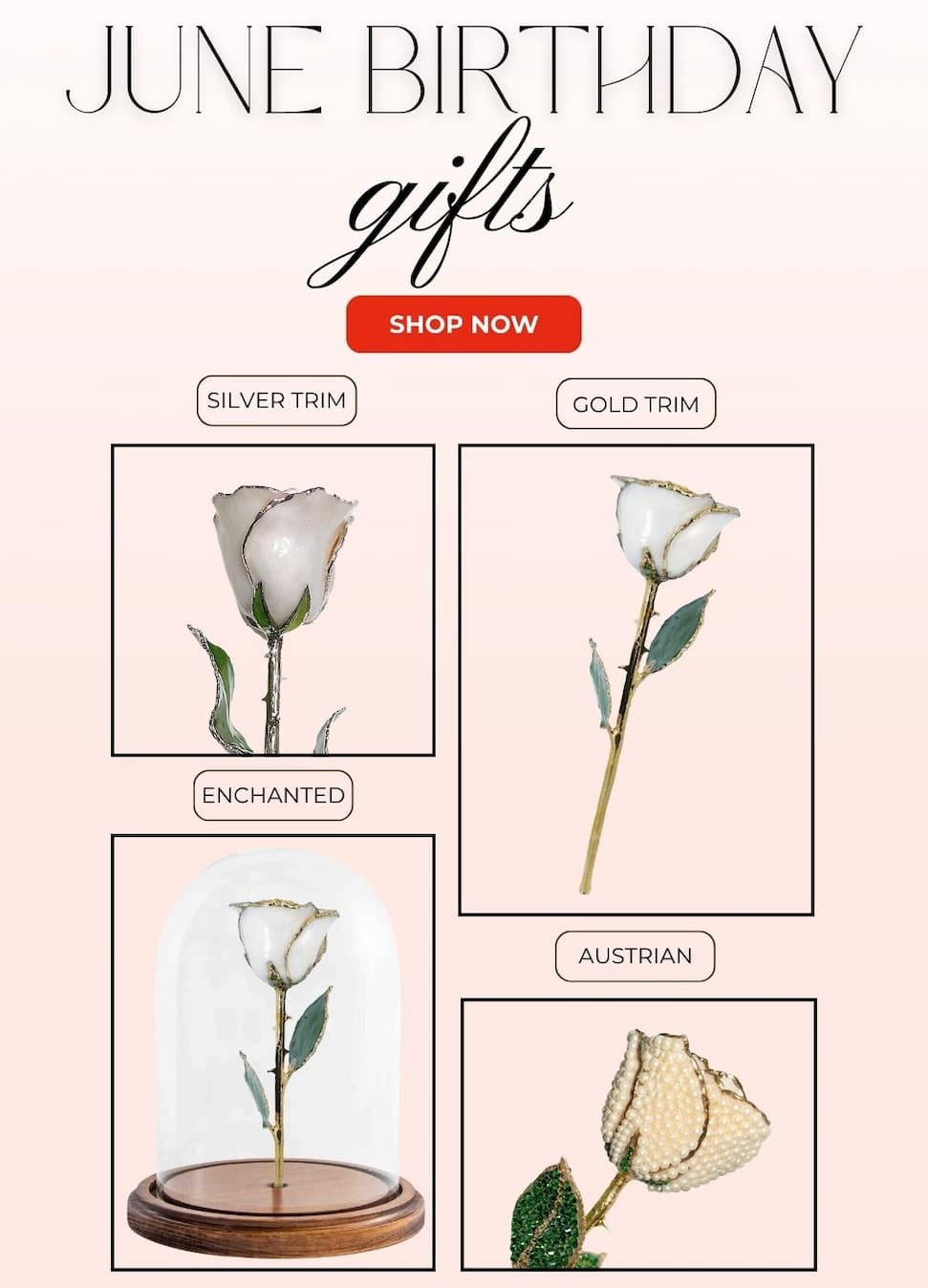 Diamond Forever Rose
