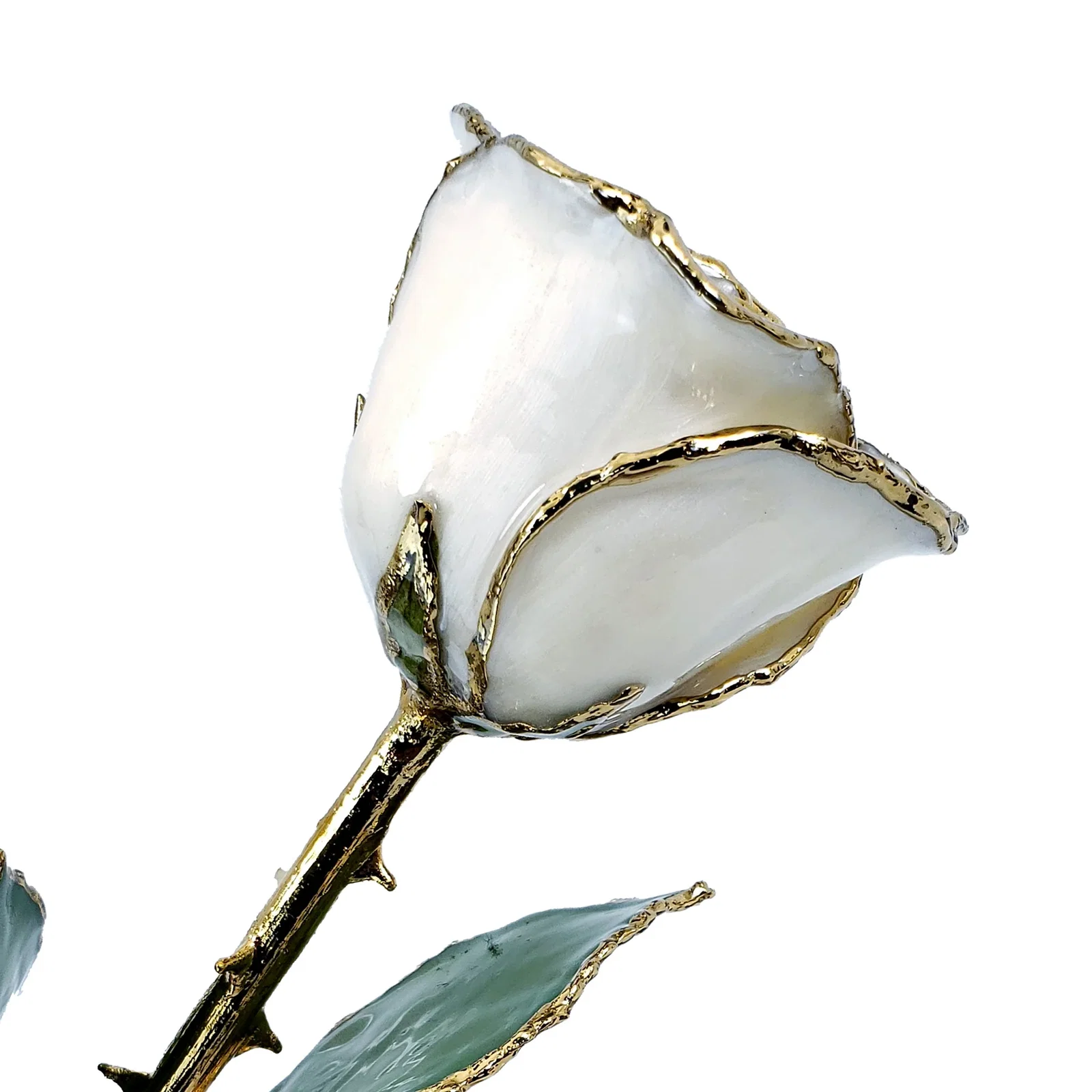 Image of 24K Gold Forever Rose - White Pearl (June Birthstone)
