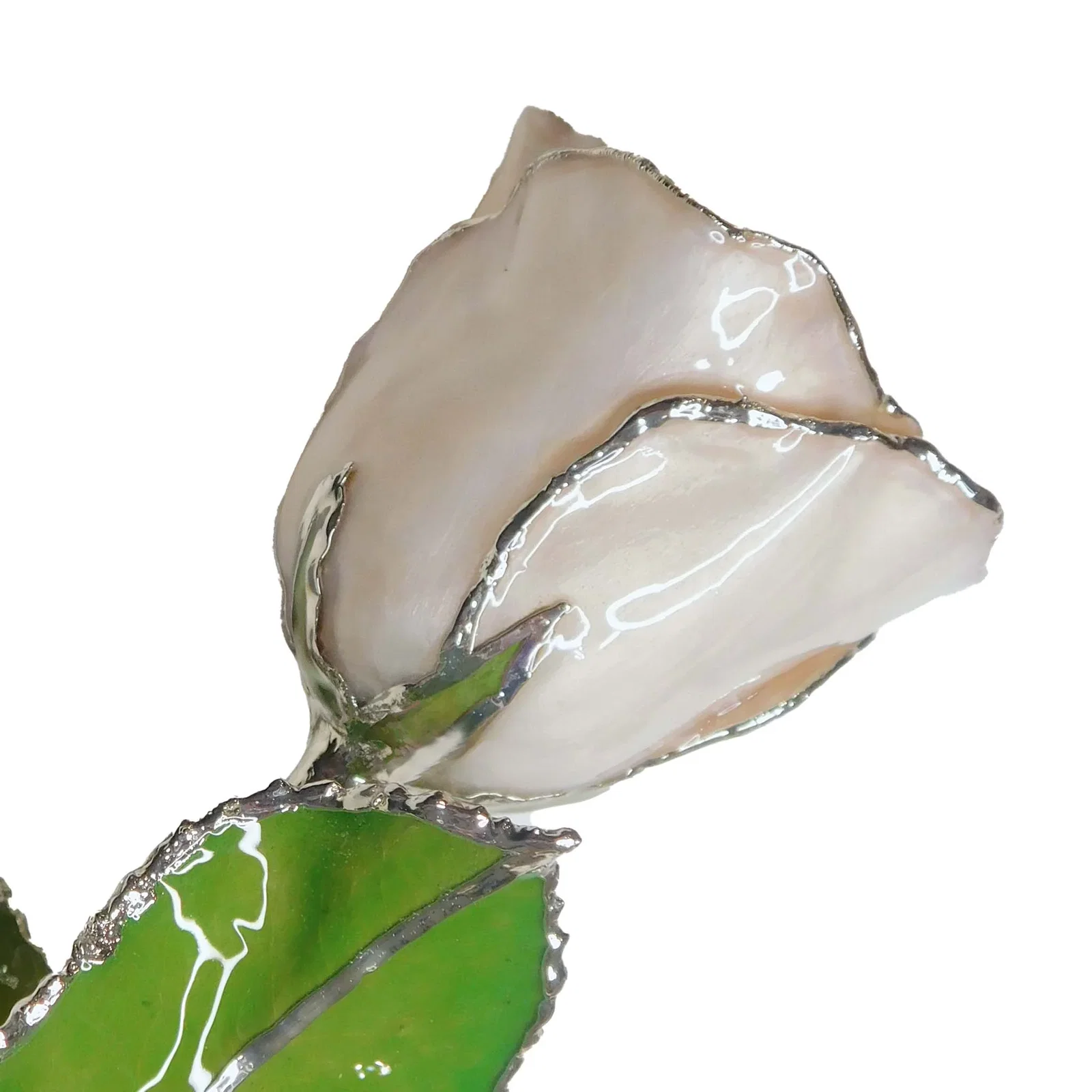 Image of Silver Forever Rose - Pearl (June Birthstone)