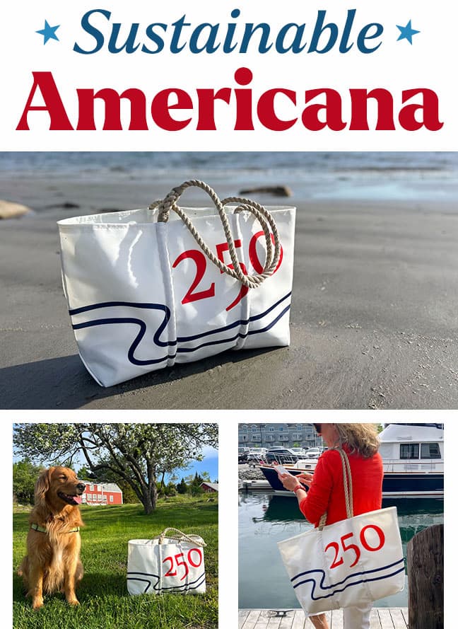 Sustainable Americana