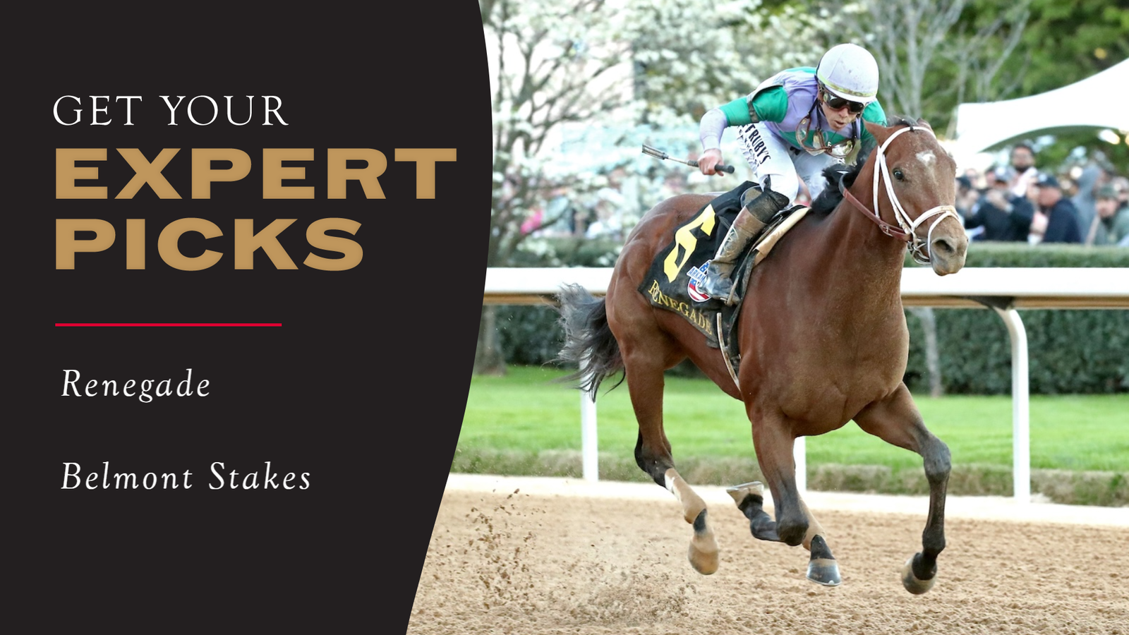Expert Picks