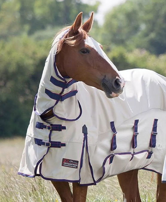 Fly Rugs