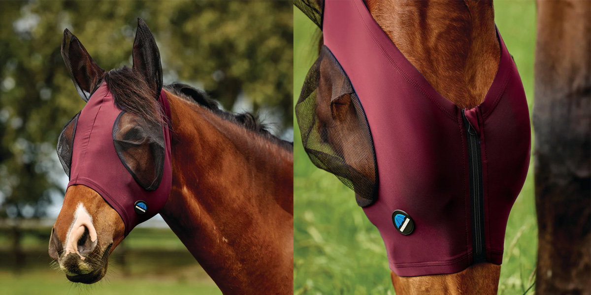 Summer Fly Protection for Horses