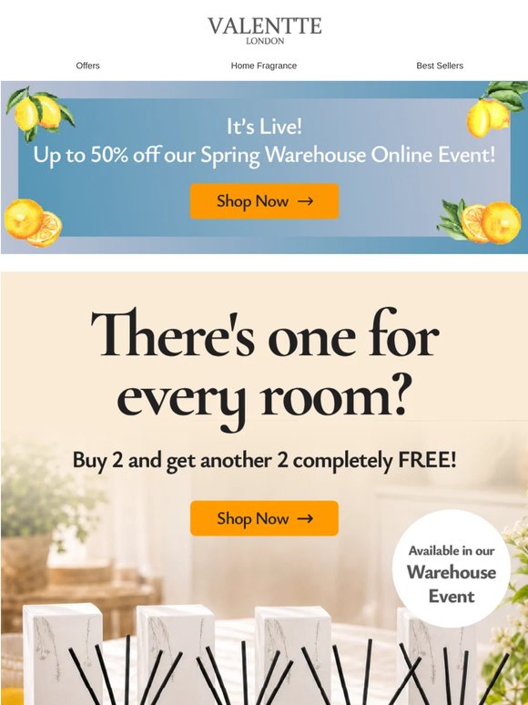 Double the savings... FREE gift + 50% off 🎁