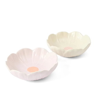 Anko 2 pack floral bowl