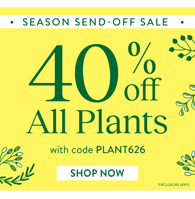 Last Call For Spring Plants