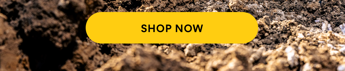 CAT - SHOP NOW HERE.