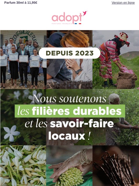 Journée de l’environnement : redécouvrez nos programmes Colibri 💚