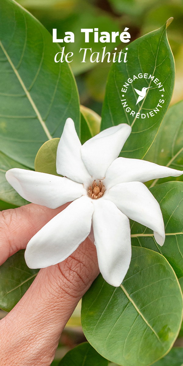 Le Tiaré de Tahiti