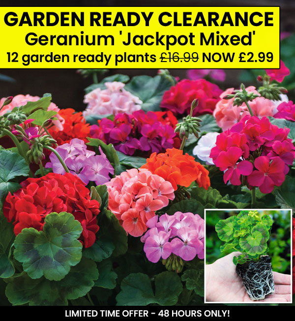 Garden Ready Mix & Match