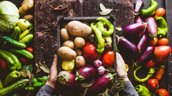 Perturbateurs endocriniens: au jardin, je me protège au quotidien