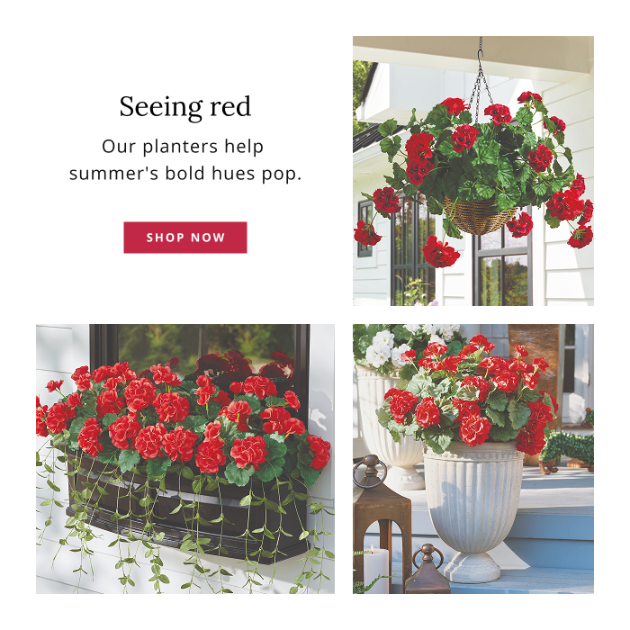 Shop Planters