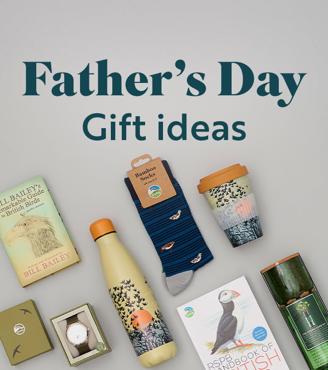 Link to Father's Day category