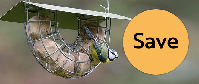 Link to Bird food & feeder offers category