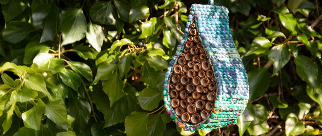 Link to Bees category