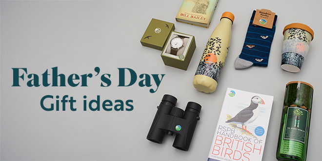 Link to Father's Day category