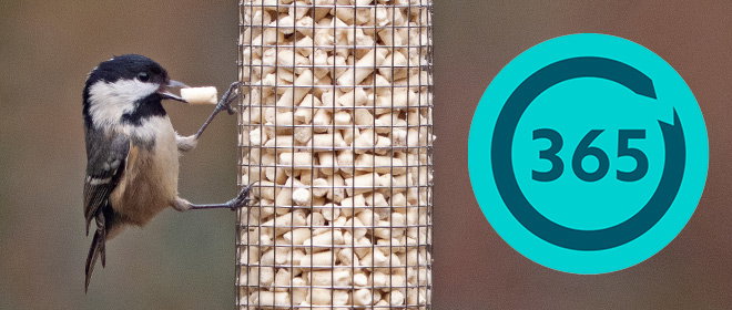 Link to Year-round feeding category