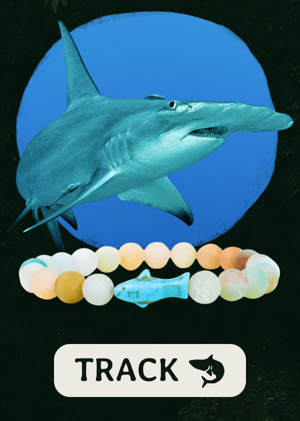 Track a real shark today! Shop now!