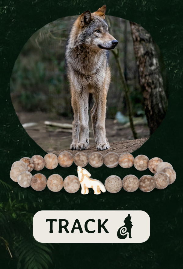Track a real wolf today! Shop now!