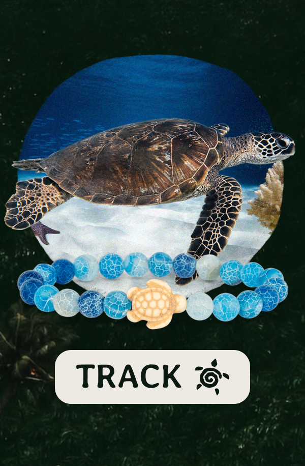 Track a real sea turtle today! Shop now!