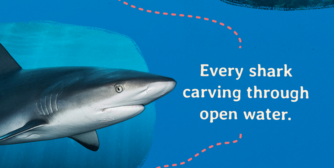 Track a real shark today! Explore the entire animal tracking bracelet collection.