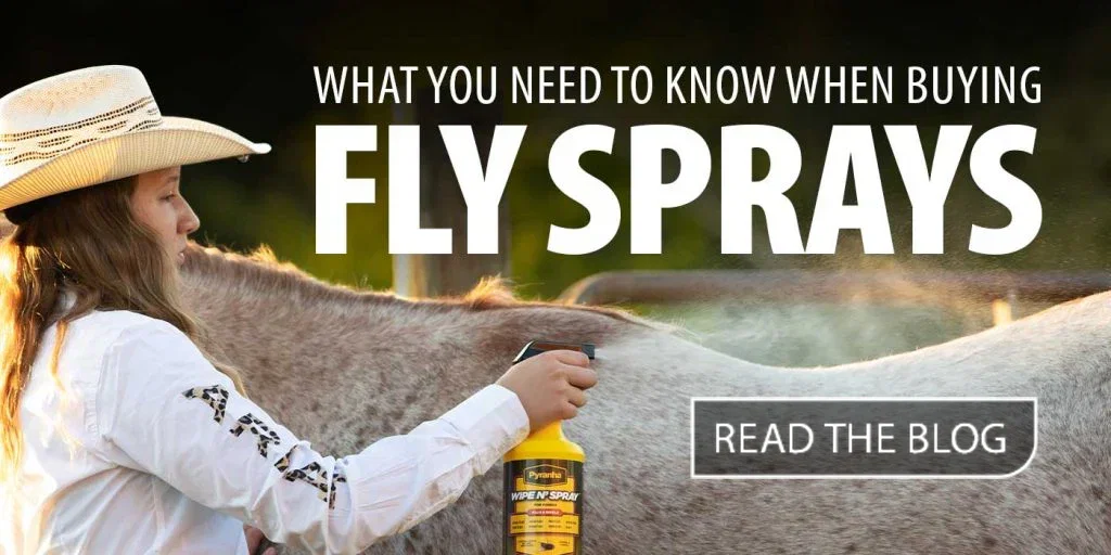 WHAT YOU NEED TO KNOW WHEN BUYING FLY SPRAYS