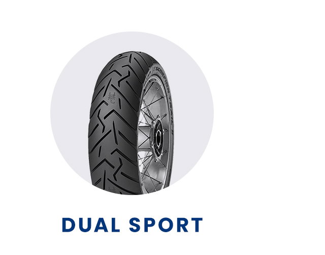 Dual Sport