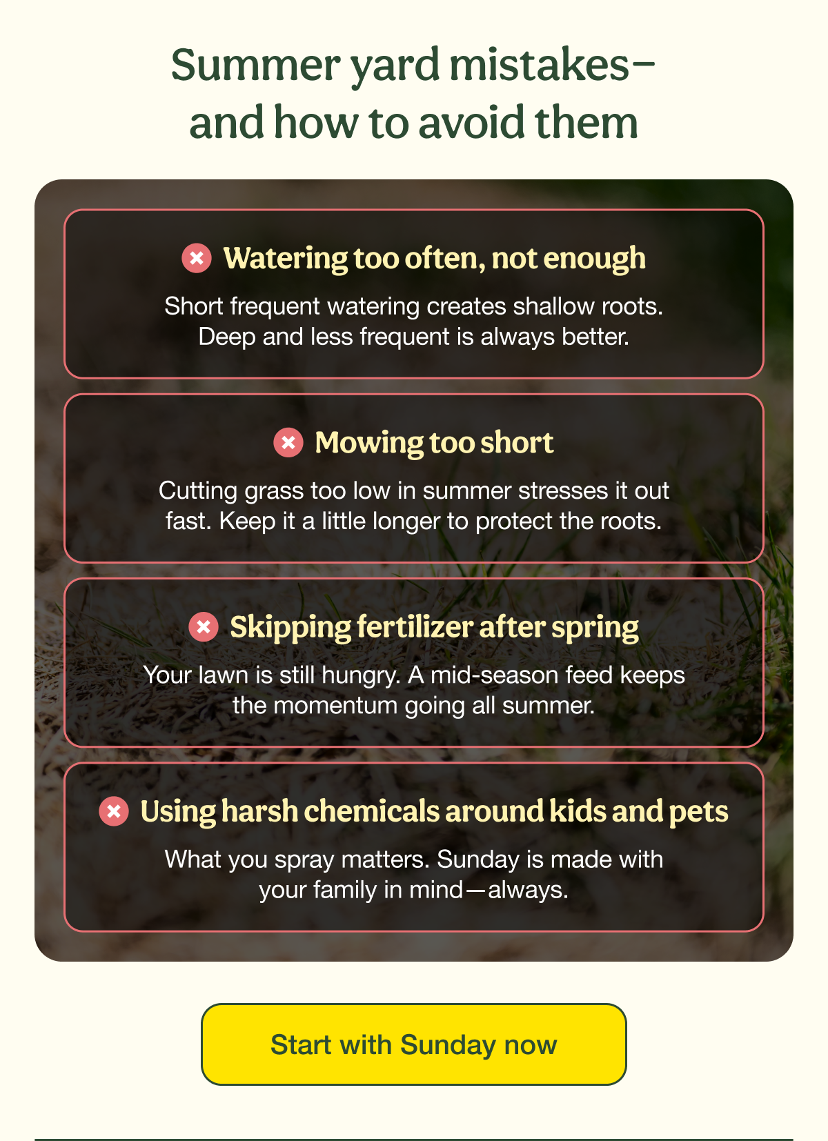 Summer yard mistakes—and how to avoid them | Start with Sunday now