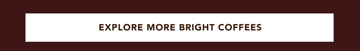 EXPLORE MORE BRIGHT COFFEES