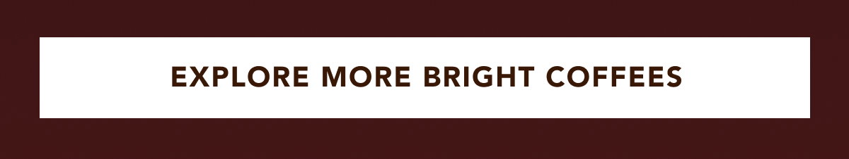 EXPLORE MORE BRIGHT COFFEES