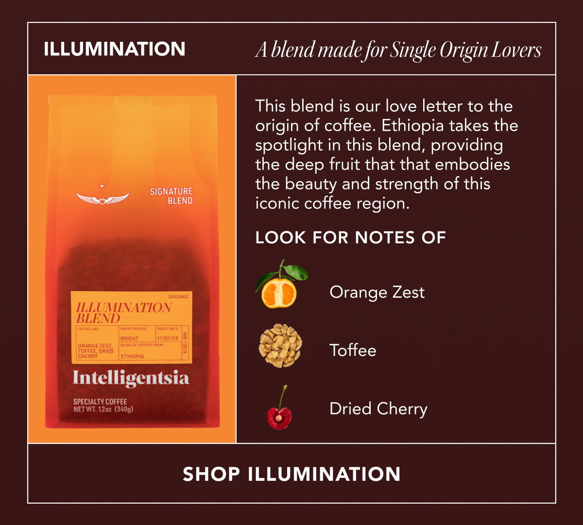 ILLUMINATION: A blend made for Single Origin Lovers. This blend is our love letter to the origin of coffee. Ethiopia takes the spotlight in this blend, providing the deep fruit that that embodies the beauty and strength of this iconic coffee region. Look for notes of orange zest, toffee, and dried cherry. | SHOP ILLUMINATION
