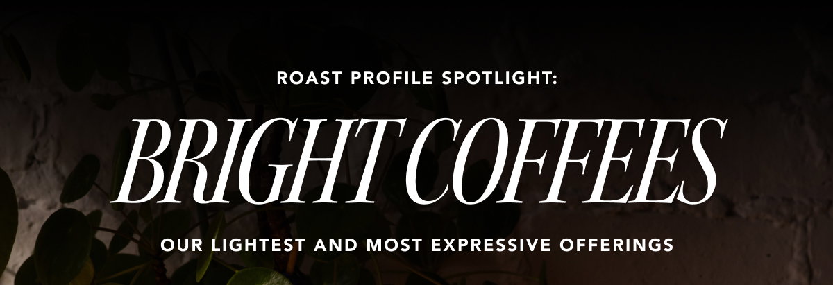 Roast Profile Spotlight: Bright Coffees. Our Lightest and most expressive offerings
