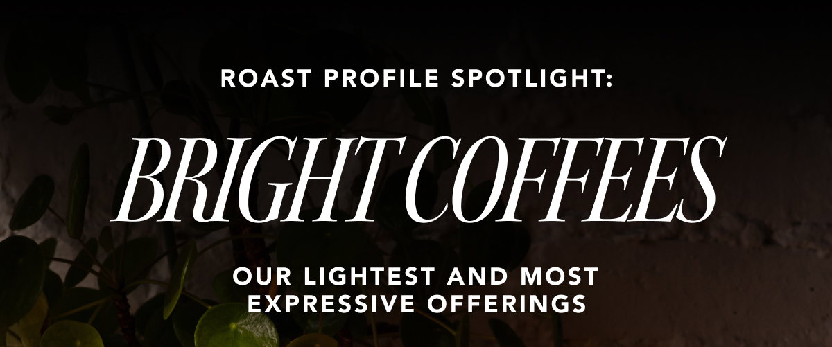 Roast Profile Spotlight: Bright Coffees. Our Lightest and most expressive offerings