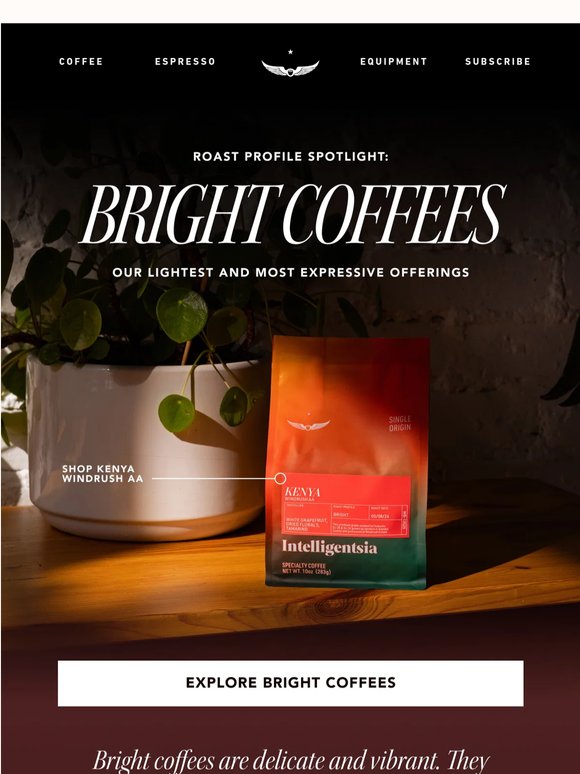 Lightest & Most Expressive Intelli Coffees