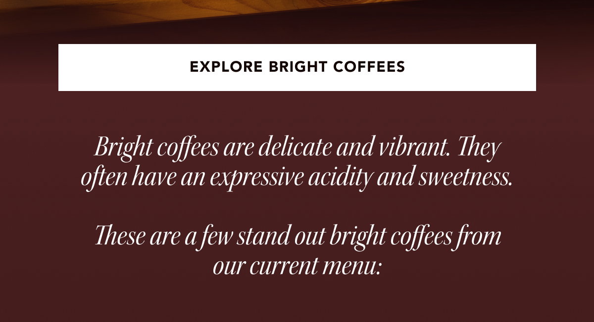 EXPLORE BRIGHT COFFEES | Bright coffees are delicate and vibrant. They often have an expressive acidity and sweetness.  These are a few stand out bright coffees from our current menu: 