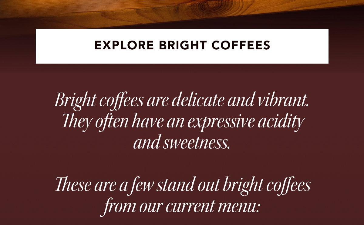 EXPLORE BRIGHT COFFEES | Bright coffees are delicate and vibrant. They often have an expressive acidity and sweetness. These are a few stand out bright coffees from our current menu: 